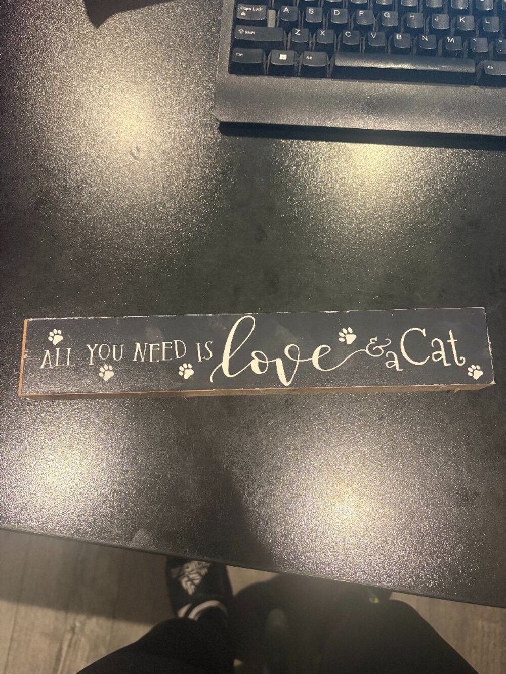 All You Need Is Love & A Cat Home Decor Cute Sign Cat Mom Crazy Cat Lady
